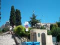 Photos (07)