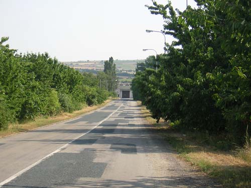 DSCN5712